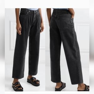 Nwot! Agolde Pleated Baggy Mid-Rise Wide Leg Jeans size 27